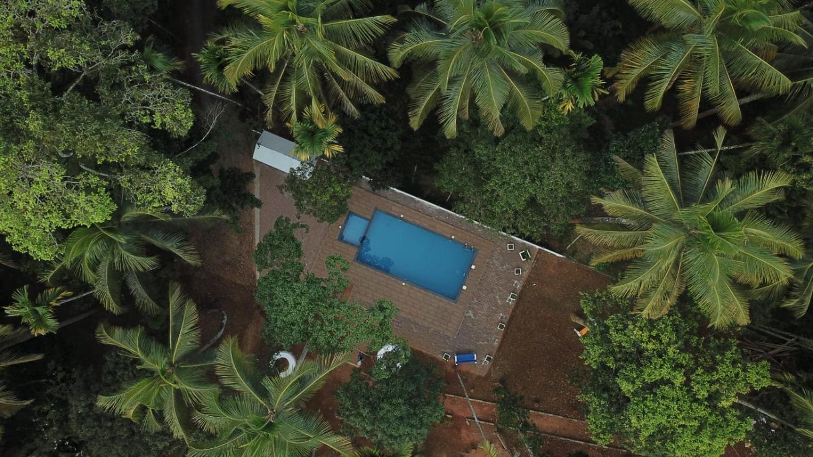 Paddyfield Inn Mananthavady Exterior photo