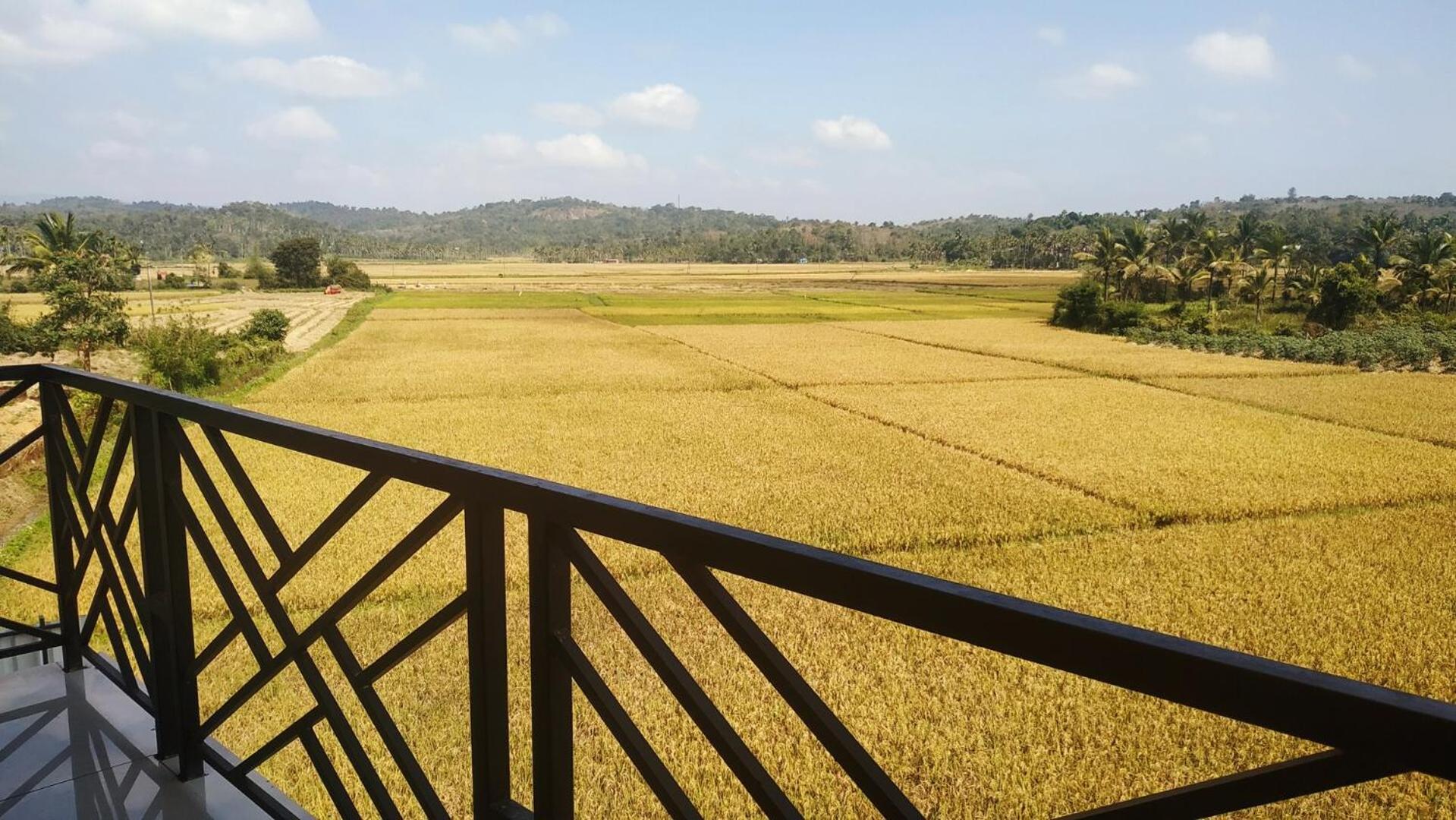 Paddyfield Inn Mananthavady Exterior photo